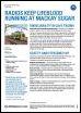 Náhľad prvej strany: Mackay Sugar AUSTRALIA